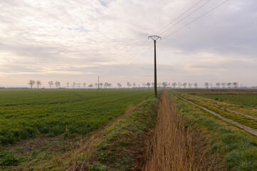 Fields and meadows near Arles in winter