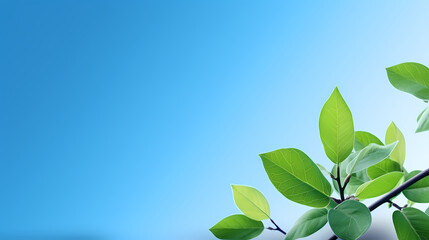 Obraz premium Green leaves eco friendly background with copy space for text