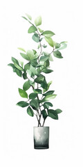 Isolated plant branch with green leaves in white background 