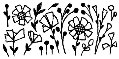 Set of flowers, leaves, floral stems. Wild plants drawing with grunge brush. Black and white botanical elements. Vector illustration. Primitivism. Decorative flowers