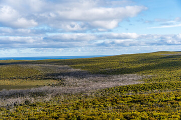 Fototapeta na wymiar Bushland in Flinders Chase National Park