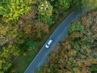Aerial view of driving on trail in spring tropical forest