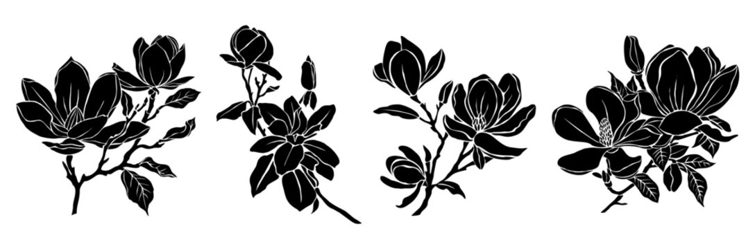 Set of Black silhouettes of decorative fresh blossoming magnolia branch with leaves and flowers. Hand drawn outline flower icon. Vector monochrome illustration isolated on transparent background.