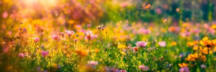 Deurstickers summer flowers in the meadow. Selective focus. © Яна Ерік Татевосян