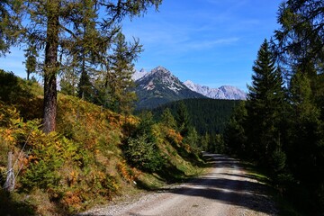 autumn in the mountains