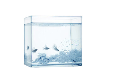 Clear Transparent Tank Isolated On Transparent Background