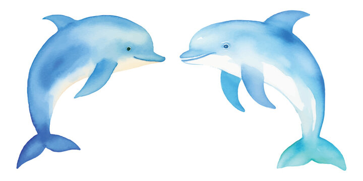 cute dolphin watercolor vector illustration
