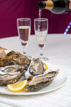 Fresh big french, dutch, pacific or japanese oysters molluscs, size number 1, served with champagne wine