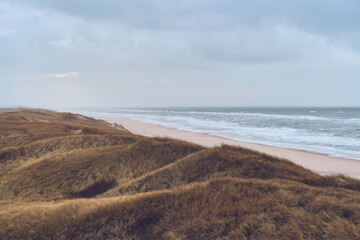 Dunes in bad weather at danish west coast. High quality photo - 731637125