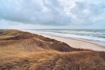 Overcast day at the Beach in Denmark. High quality photo - 731639362