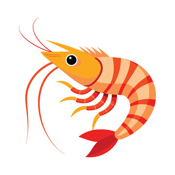 orange shrimp cartoon on white background clip art preview