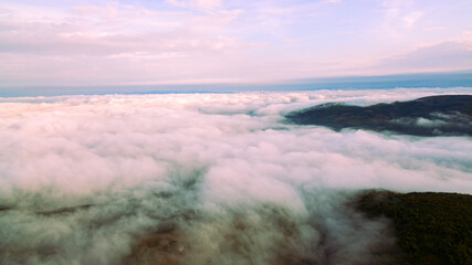 Morning over the forest.