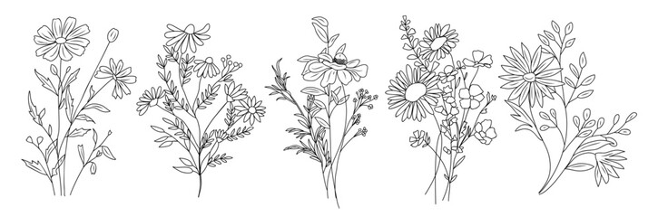 Wildflower line art bouquets set. Hand drawn flowers, meadow herbs, wild plants, botanical elements for arrangements, invitation, greeting cards, wall art, logo, tattoo design. Vector illustration.