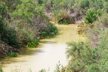 Bed of Jordan River near site of Christ's baptism on Jordanian bank. In Gospel this place is called Bethavara. There are bushes along banks of river.