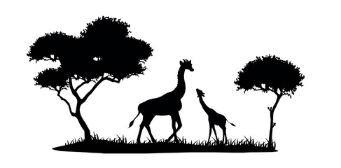 silhouette of giraffes and savannah trees vector