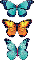 Realistic butterfly collection vector illustration. - 731658911