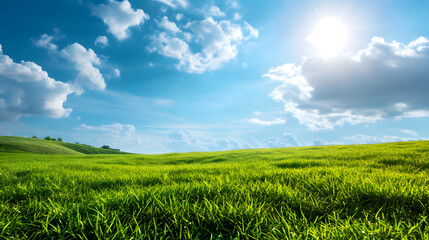 Fototapeta na wymiar Green grass field and blue sky with clouds. Nature background