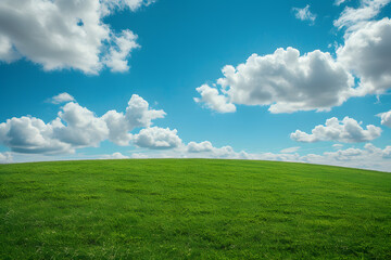 Green field under blue sky with white clouds. Landscape. Nature