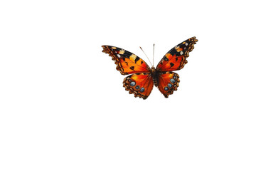 Butterfly in Summer Landscape on Transparent Background, PNG,