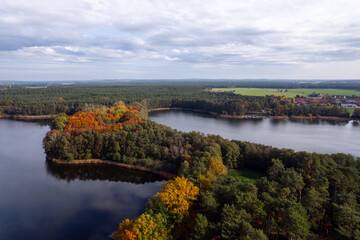 Naklejka na ściany i meble Aerial shot of beautiful lake surrounded by forest in a calm autumn day. Germany.