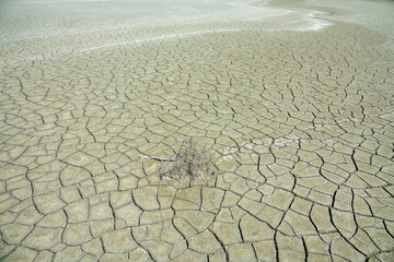 Image of heat and drought. Global warminga (man-made climate change, ecological turnover). Endless...