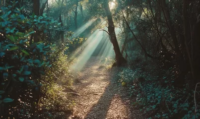 Poster Sunrise in the forest with a path leading to the sun. © TheoTheWizard