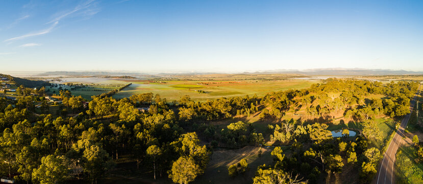 First light on tree tops of paddock and distant farmland