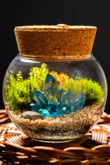 Terrarium, beautiful arrangement with live plants mounted inside a glass.