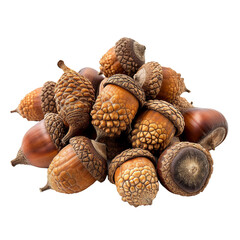 Dried Acorns, transparent background, isolated image, generative AI