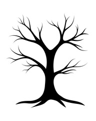 Black tree outline without leaves on white background. Winter, fall, autumn nature. Vector art