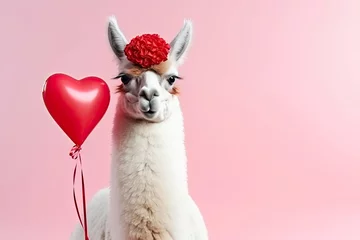 Tuinposter Cute llama with gif box and heart shaped balloons. Romantic alpaca. Happy valentines day card with copy space © ita_tinta_