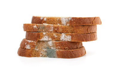 Pieces of moldy bread.