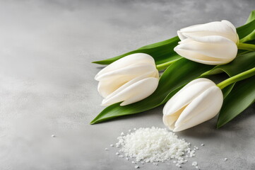 White Tulips with Space on Concrete