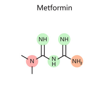Chemical organic formula of Metformin diagram hand drawn schematic vector illustration. Medical science educational illustration