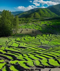 Cercles muraux Rizières Landscape of paddy fields near Thimpu in the Kingdom of Bhutan.