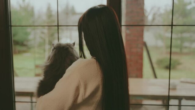 cute woman standing looking out the window holding fluffy gray cat in hands back rear view, girl enjoy new day emotions love care, funny pet muzle fur. private house Cozy room home casual clothing 4k