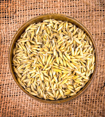Oat ears stems in cup on the sackcloth background. Close up