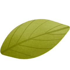 Obraz premium Lemon leaf