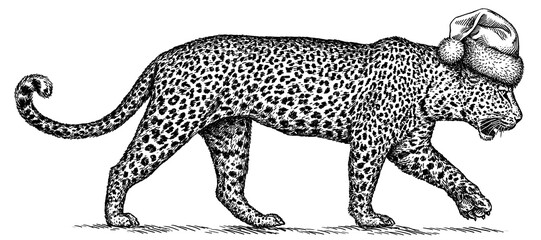 Vintage engraving isolated leopard set panther dressed christmas illustration ink santa costume sketch. Africa wild cat cheetah background jaguar animal silhouette new year hat art. Hand drawn image © Turaev