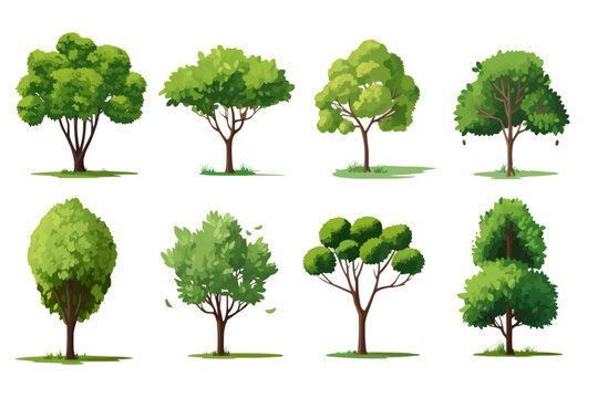 field trees set isolated vector style with transparent background illustration