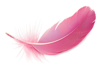 Pink Feather on Transparent Background, PNG, Generative Ai