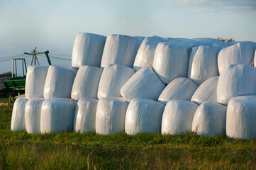 haylage bales wrapped in a white foil