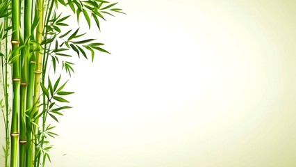 A natural background on right side bamboo plant with empty space  - obrazy, fototapety, plakaty