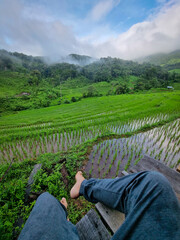 Sitting above of Terraced rice fields with water reflection on the ground in the early morning. Have fog over mountain in the air in the north of Thailand