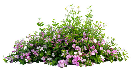 imagine bush of flowers isolated on transparent background - Powered by Adobe