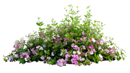 imagine bush of flowers isolated on transparent background