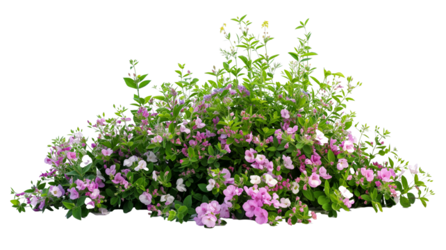 imagine bush of flowers isolated on transparent background