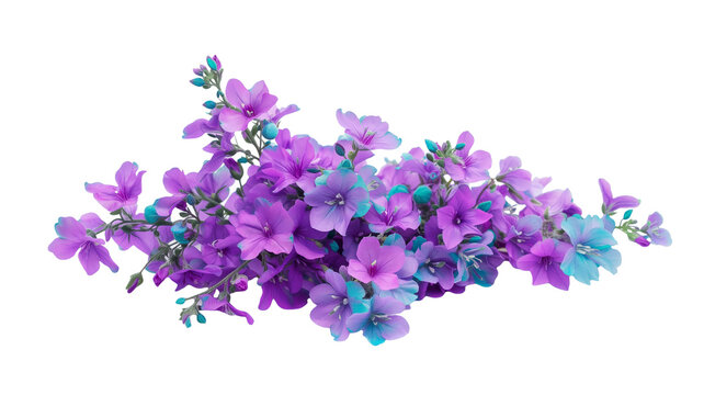 bush of delicate turquoise flowers, isolated on transparent background