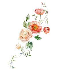 Watercolor bouquet of peony, ranunculus and leaves. Hand painted card of floral elements isolated on white background. Holiday flowers Illustration for design, print, fabric, background. - 731714781