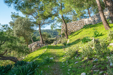 Scenic views from Pedasa (Pedasus, Pedasos), was a town of ancient Caria. It was a polis (city-state)and  was a member of the Delian League, near Bodrum.